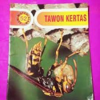 Tawon Kertas