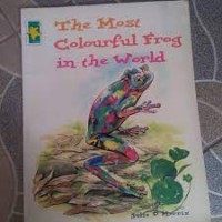 The Most Colourful Frog in the World