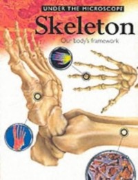 Image of Under the Microscope: Skeleton=Our Body\'s Framework
