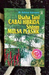 Usaha Tani: Cabai Hibrida Sistem Mulsa Plastik