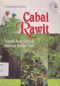 Usaha Tani Cabai Rawit